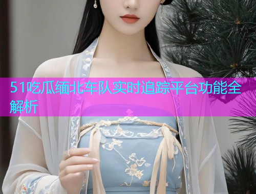 51吃瓜缅北车队实时追踪平台功能全解析  第2张